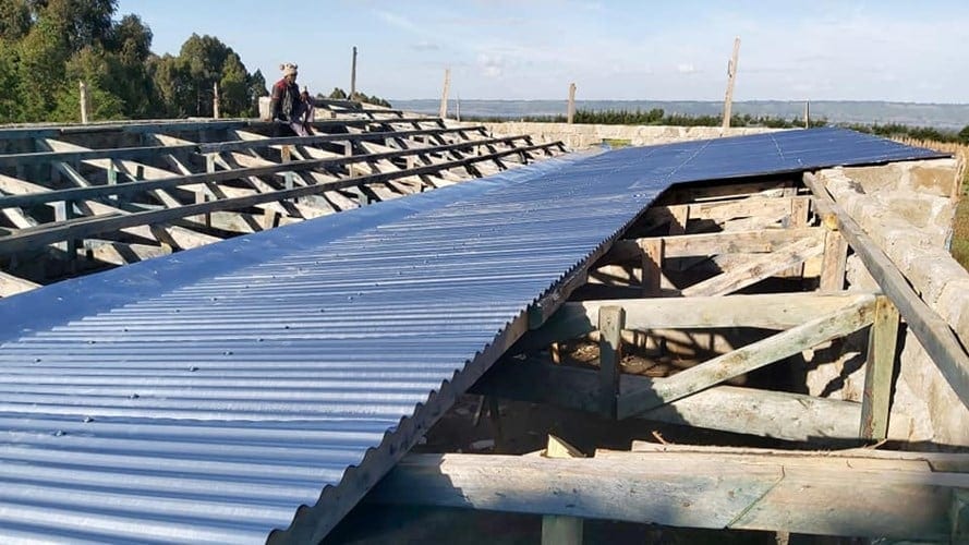 Construction: timber roof trusses partly covered in blue corrugated sheeting