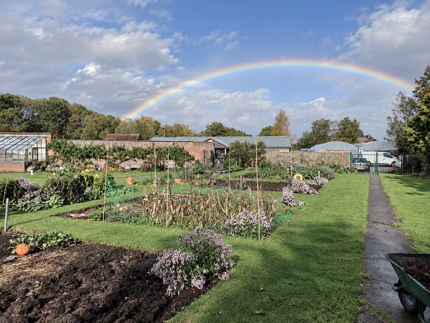 Allotment gardens under a rainbow