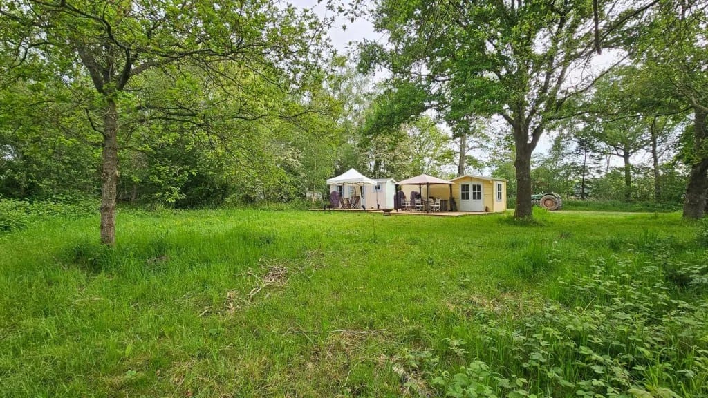 Glamping cabins and a bell tent in a sunlit woodland glade