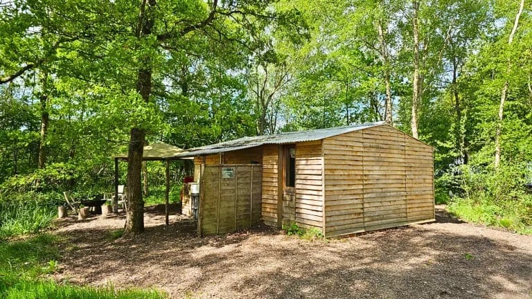 Side of a timber cabin among the trees